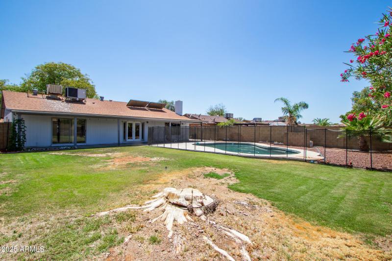 Backyard from NE Corner