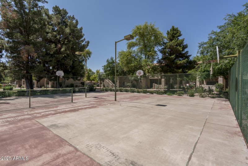 Basketball Court