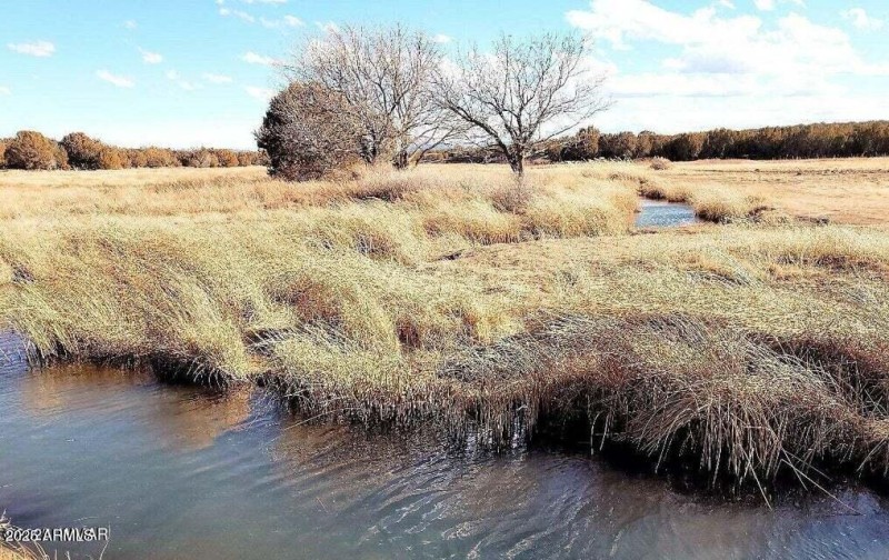Silver Creek Fish Hatchery