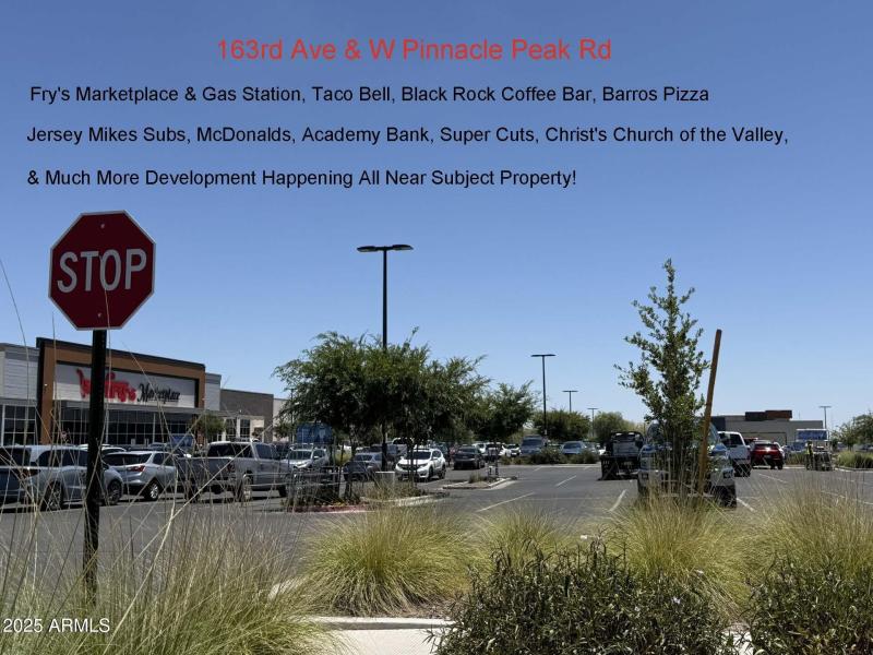 Suprise Photo money shot