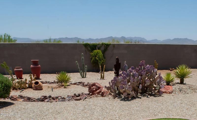 IMG_20250617_135949 (1)