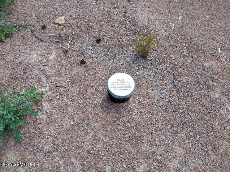 20250108032634137520000000-o