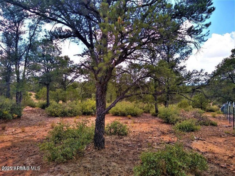 20250108032614642649000000-o