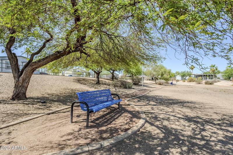 50-web-or-mls-Apache-50