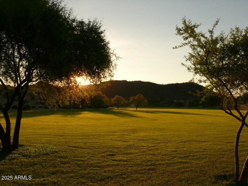 5943309380_d5412a2caf_b