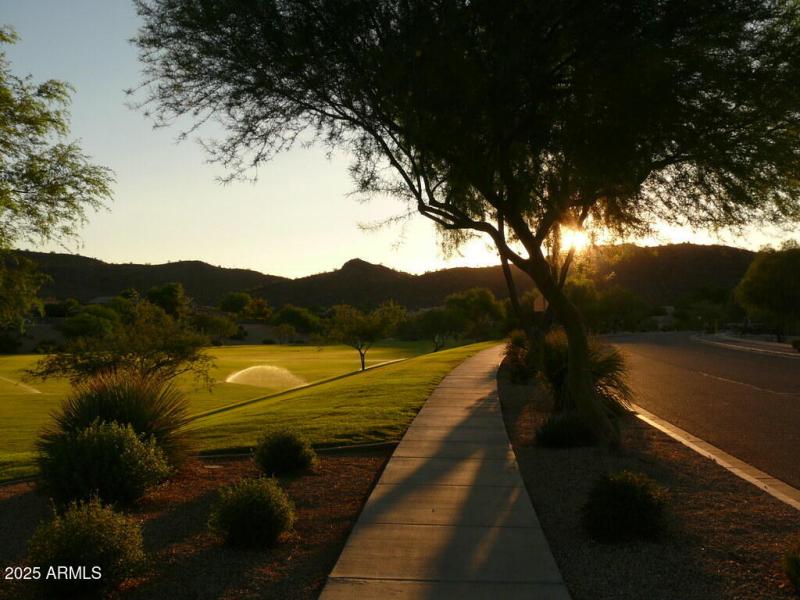 5943315838_928885555f_b