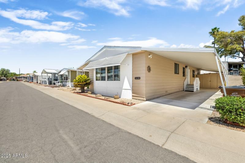 Driveway and Shead view