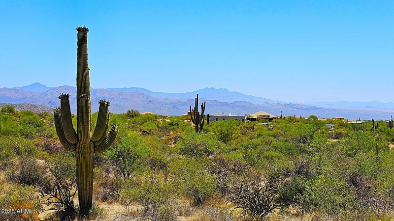 Superstitiion Mt's. to the S.W.