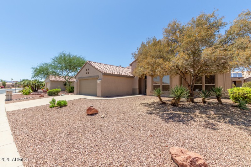 05 - Wildflower 15874