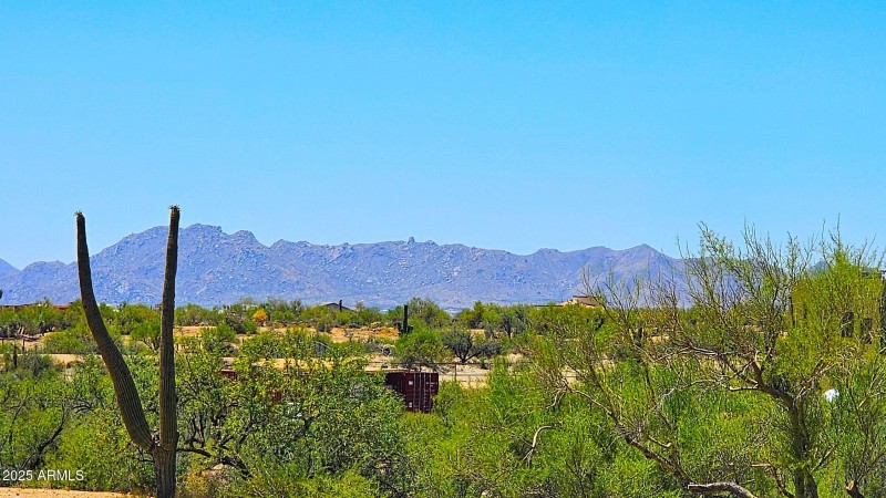 McDowell Mt's. to the South