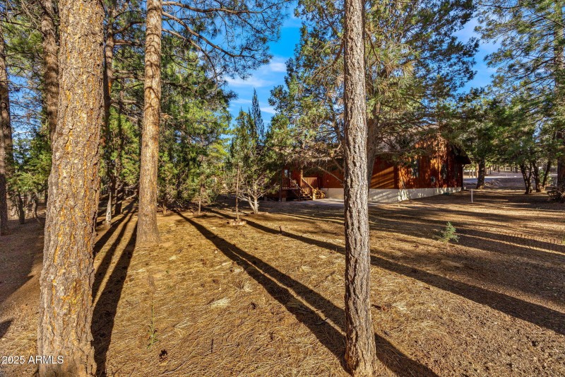 2202ForestParkDr-Heber-AZ-37