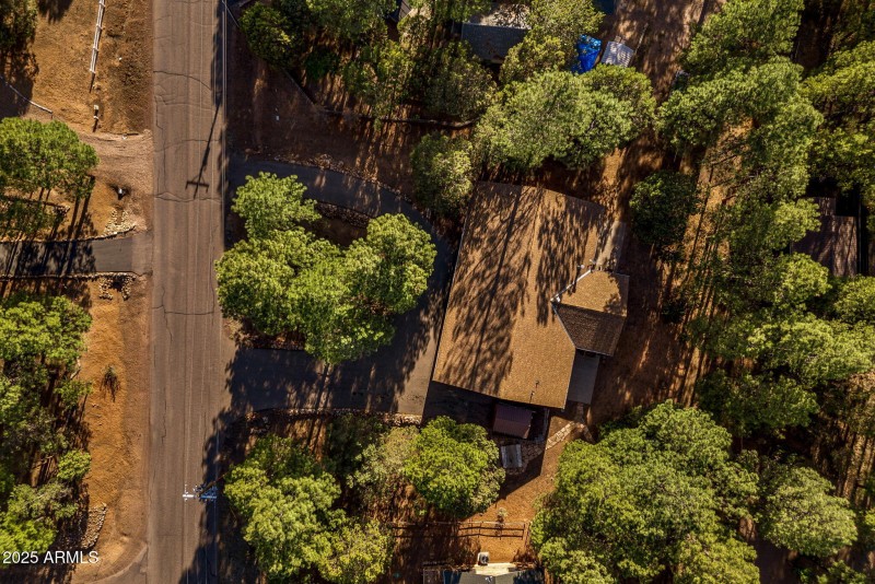 2202ForestParkDr-Heber-AZ-43