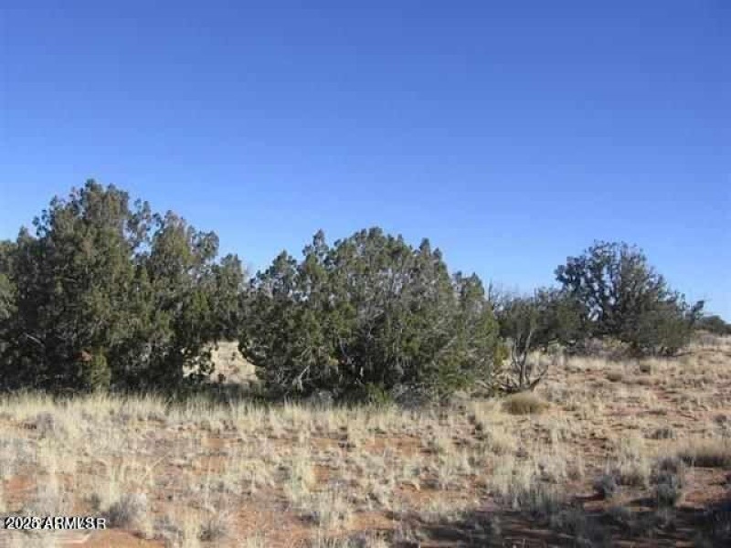 20230619195809735432000000-o