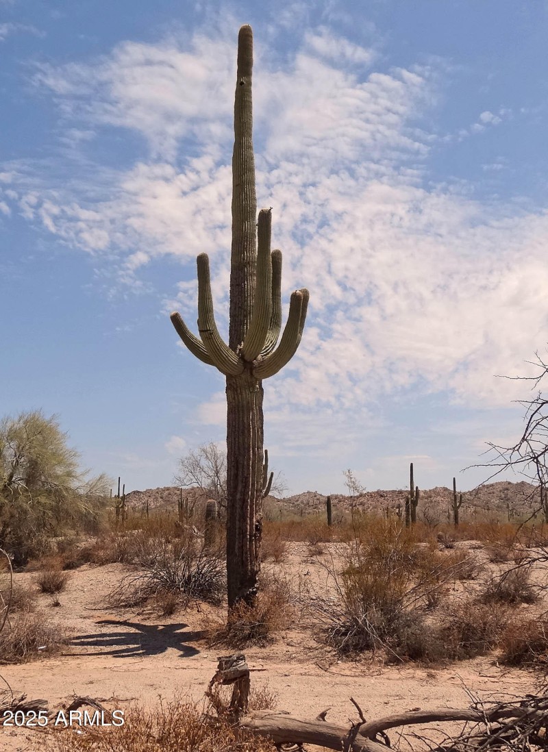 Backs to Park on North & East Borders!