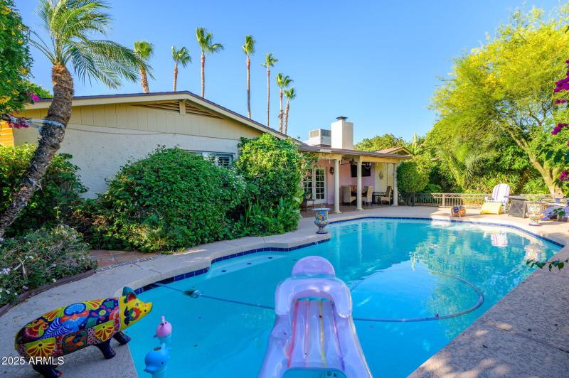 26-web-or-mls-Crocus-32