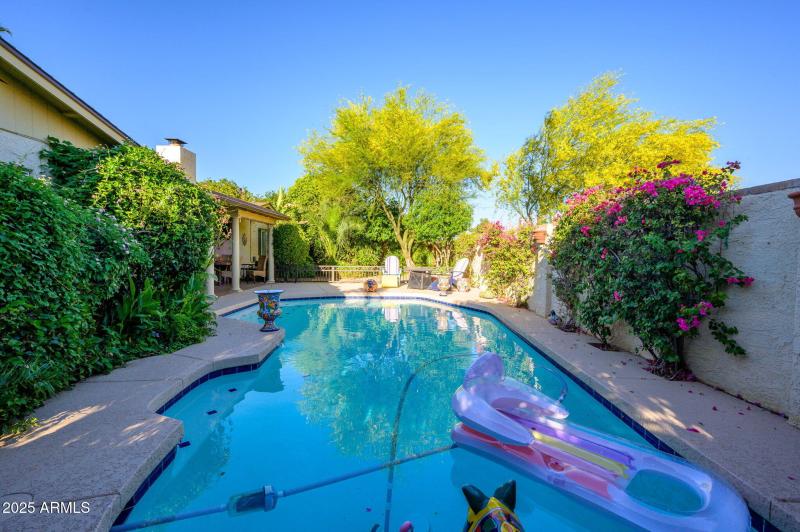 27-web-or-mls-Crocus-33