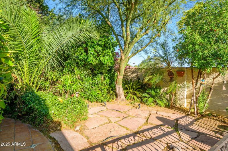 29-web-or-mls-Crocus-35