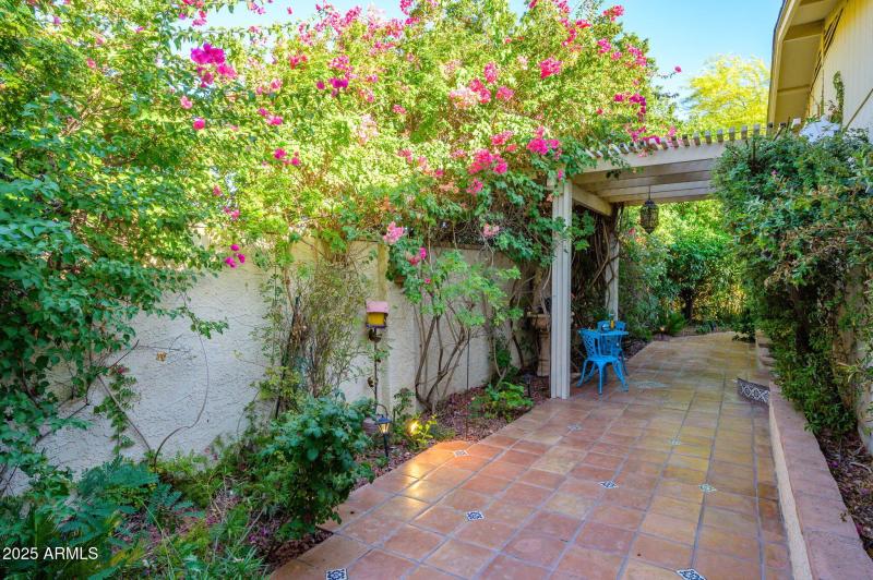 41-web-or-mls-Crocus-46