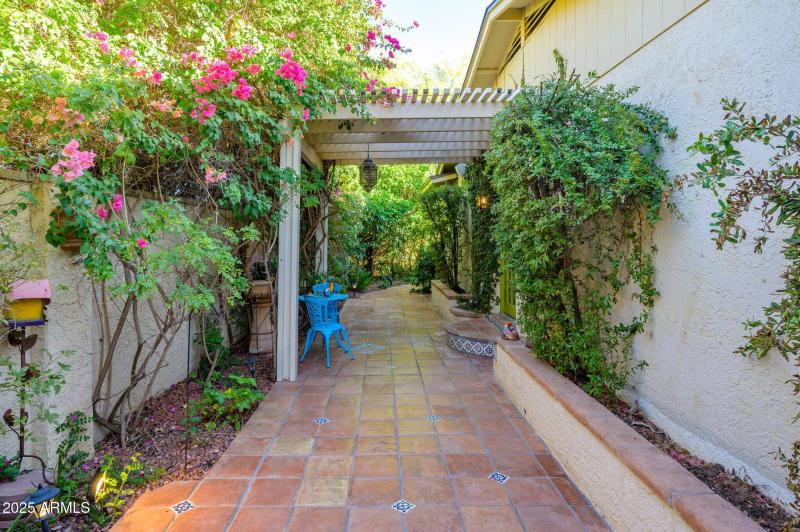 43-web-or-mls-Crocus-48