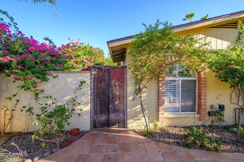 44-web-or-mls-Crocus-49