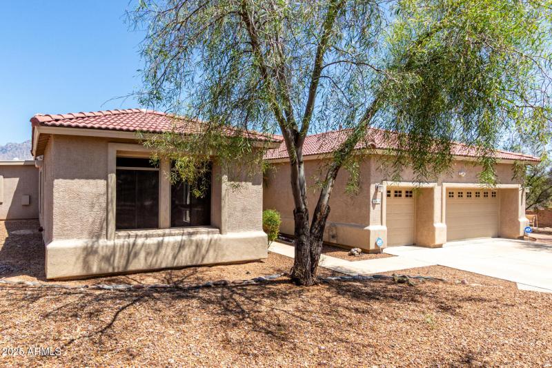 Natural Shade and Tranquility