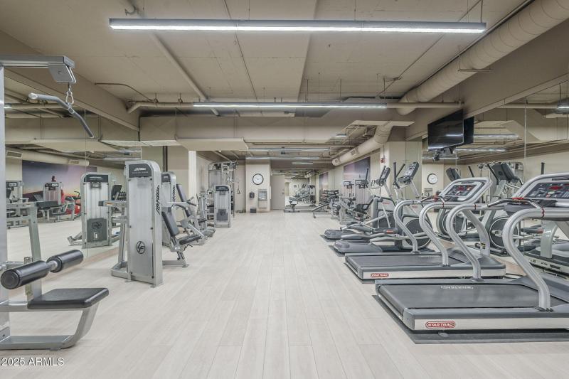 41-web-or-mls-3rd-41