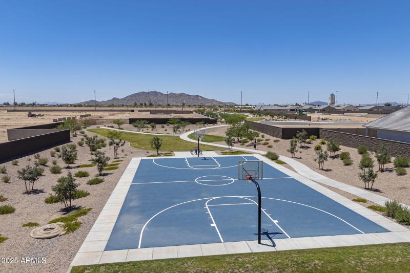 Basketball Court