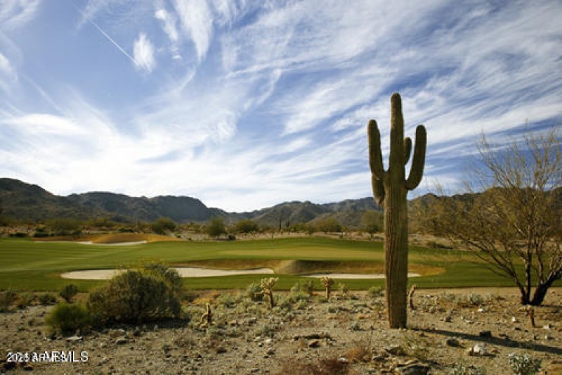 20160604171139512897000000-o