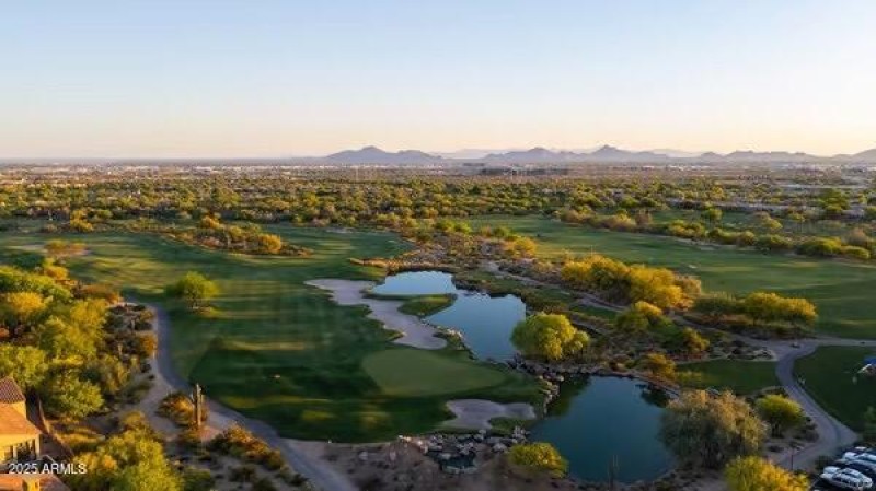 large-0197a80d-a542-7123-b641-8008c6d49a