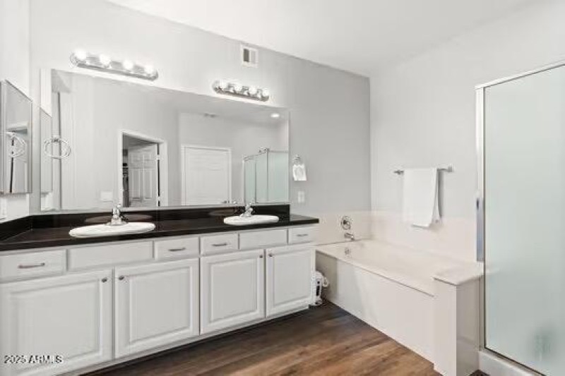 large-0197a805-e66d-7329-9f35-b79d67f482