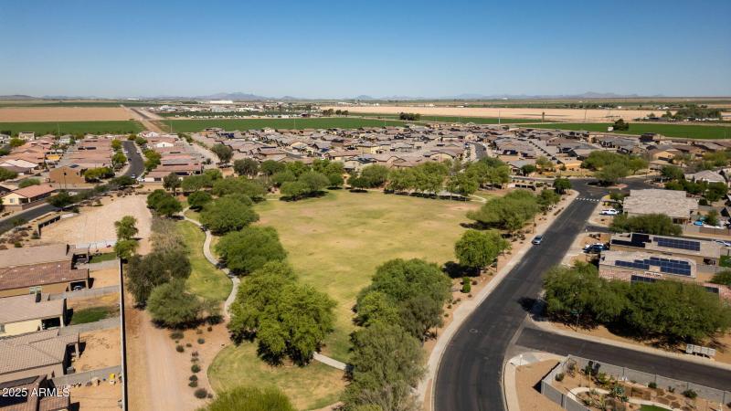 7-web-or-mls-25847 W Winston Dr Buckeye,