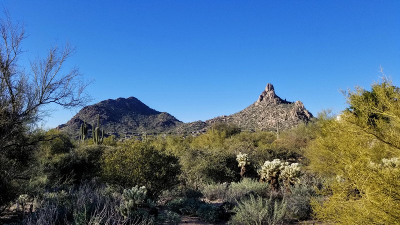 view from orner of lot