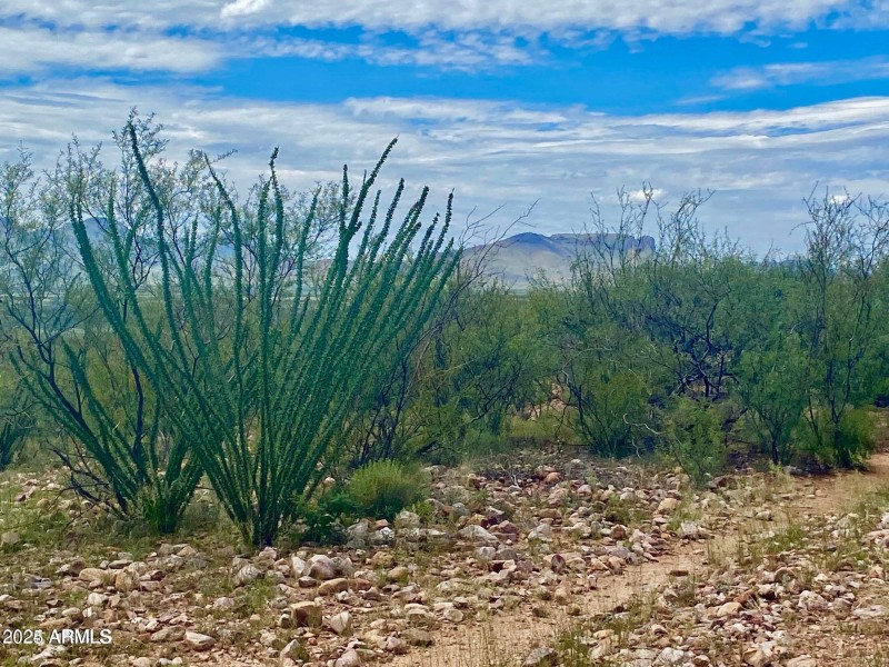 20240819063313935369000000-o