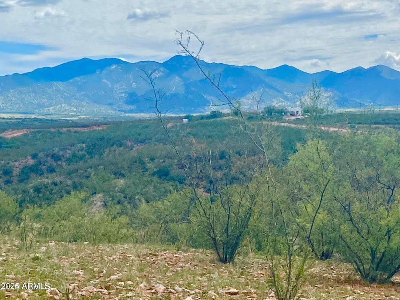 20240819063818977795000000-o