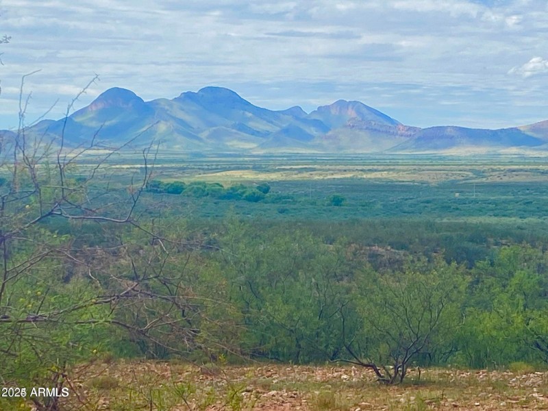 20240819063919248123000000-o