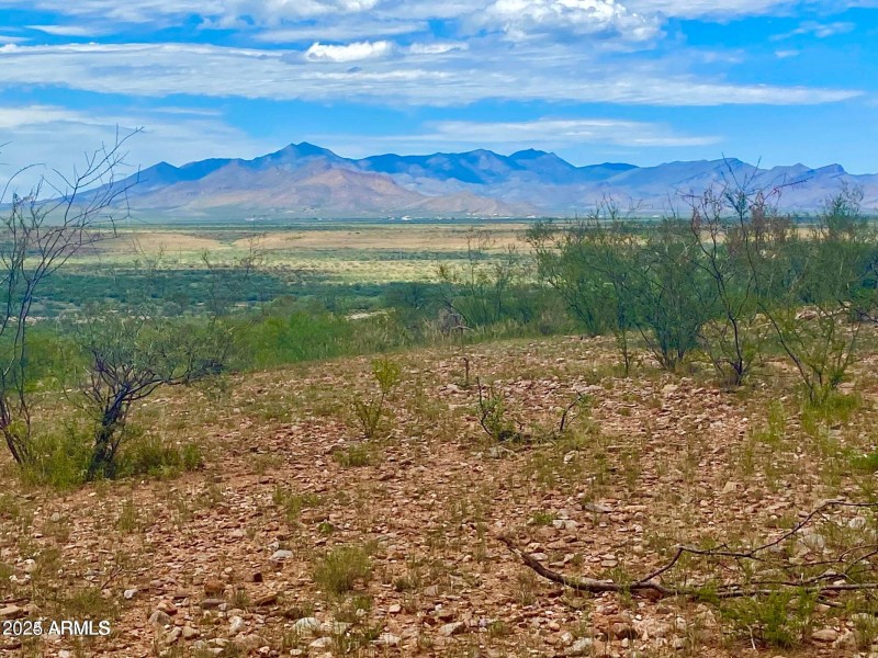 20240819064048190445000000-o