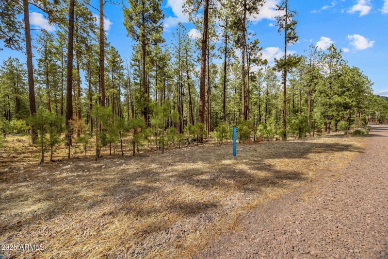 CountyRoad2325-Alpine-AZ-3