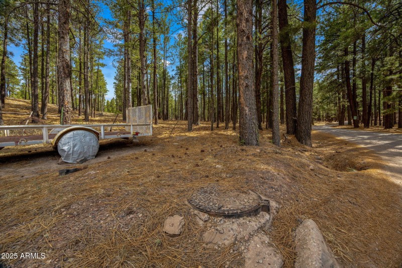 CountyRoad2325-Alpine-AZ-5