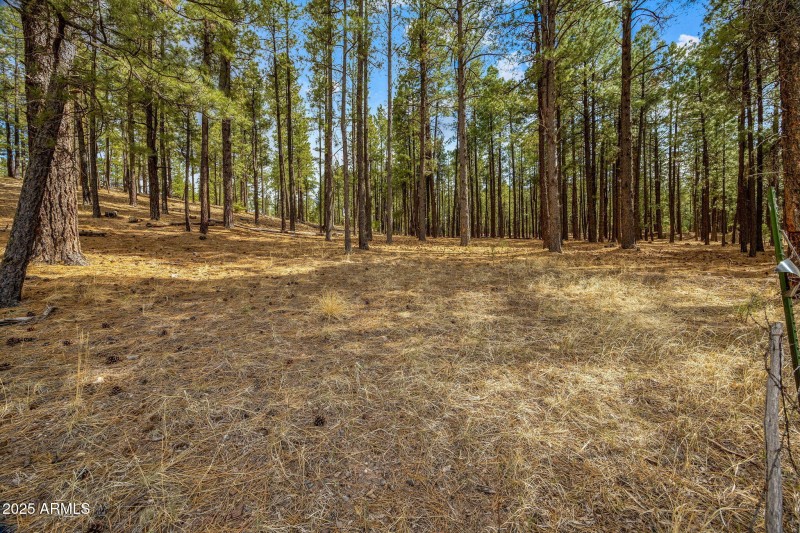 CountyRoad2325-Alpine-AZ-6