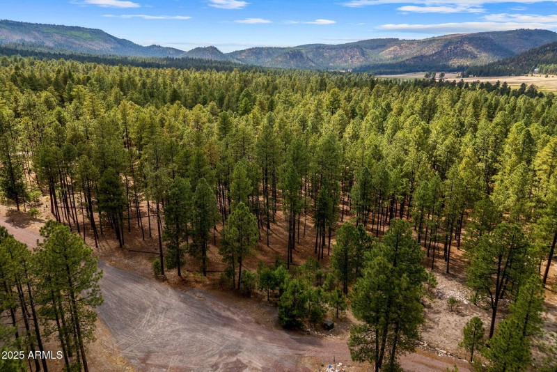 CountyRoad2325-Alpine-AZ-8