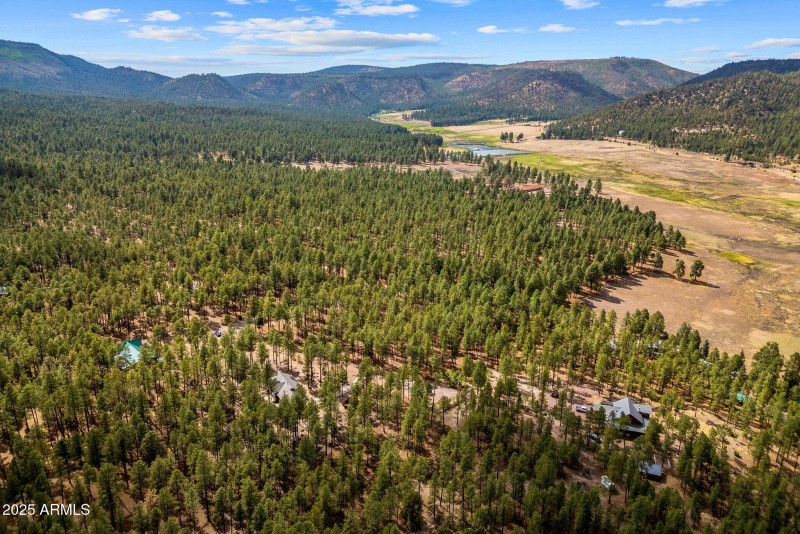 CountyRoad2325-Alpine-AZ-13