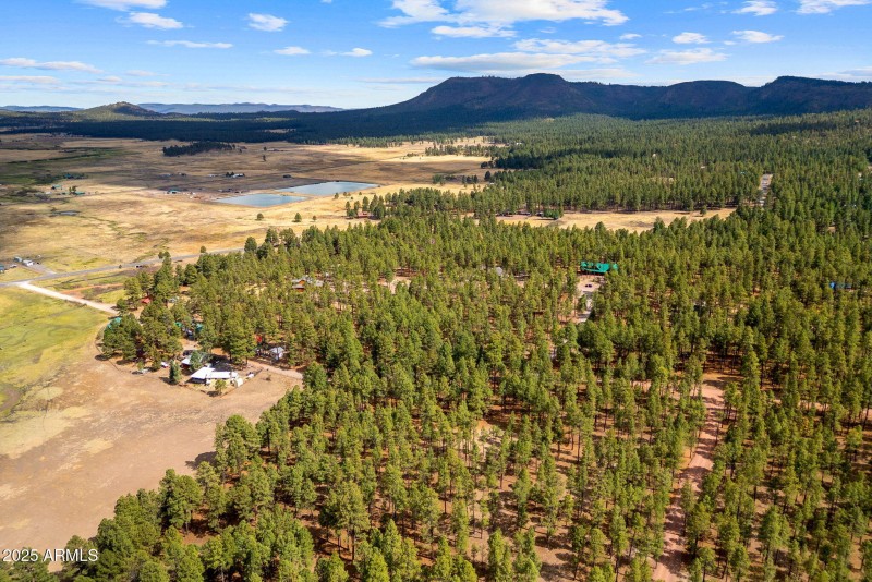 CountyRoad2325-Alpine-AZ-15