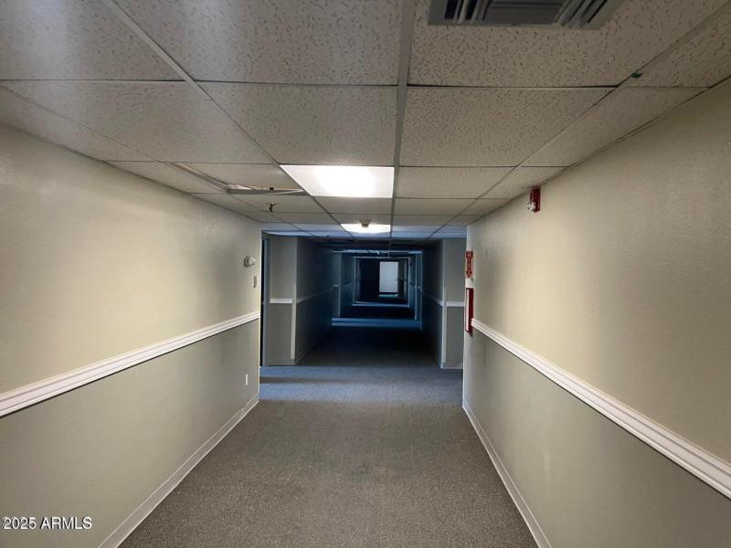 20250306191703493032000000-o