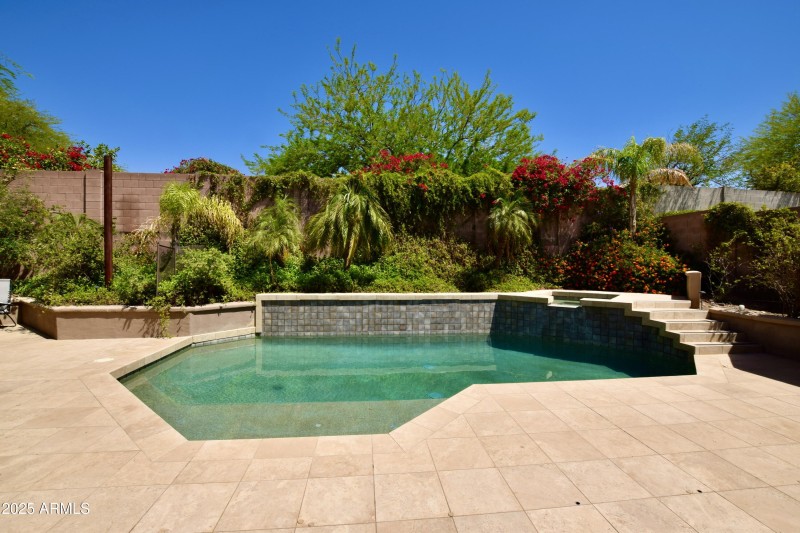 Backyard Pool