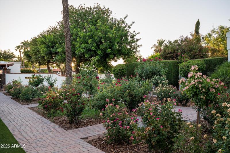 Community rose garden