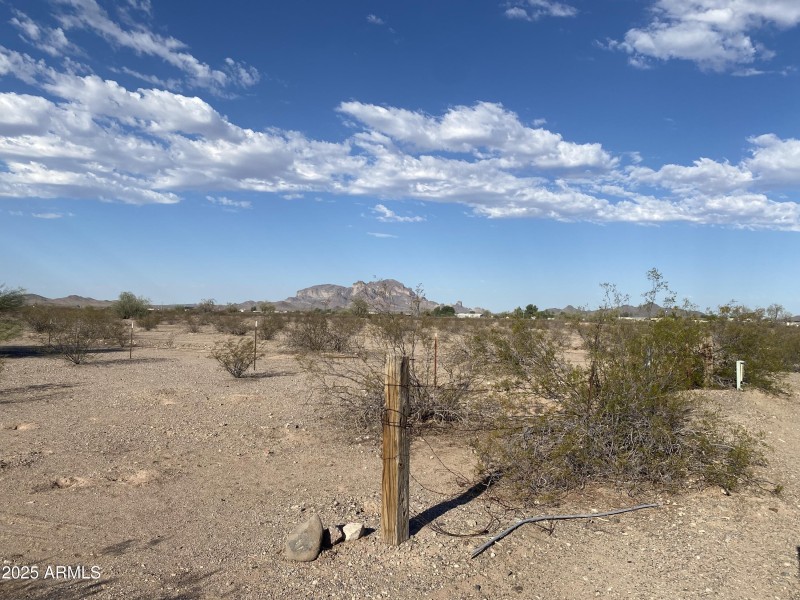 Photo Jun 30 2025, 7 38 42 AM