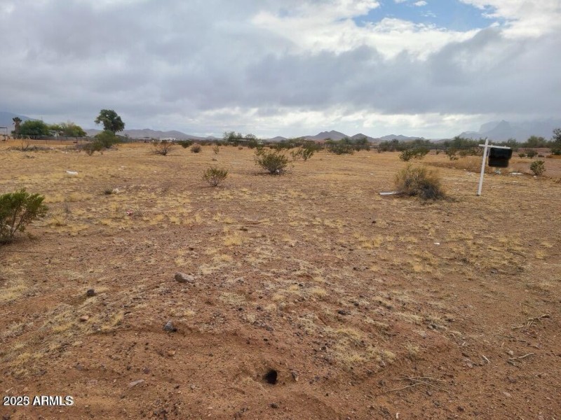 3132 N Saddle Vista (3)