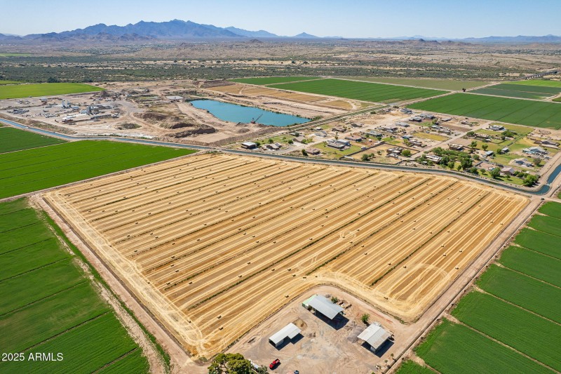 10-web-or-mls-205-10