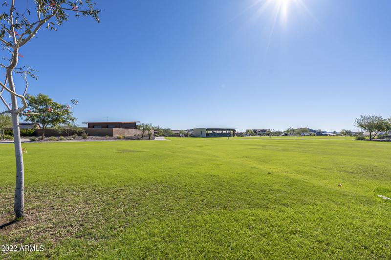 Goldmine - Community-11