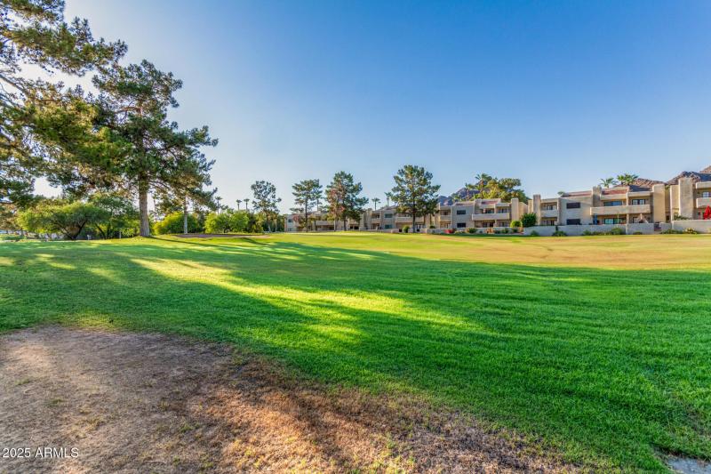 53 - Arizona Bilmore